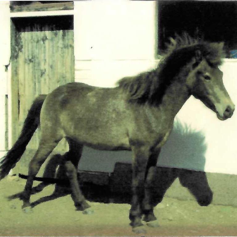 hulda_e_kuhne